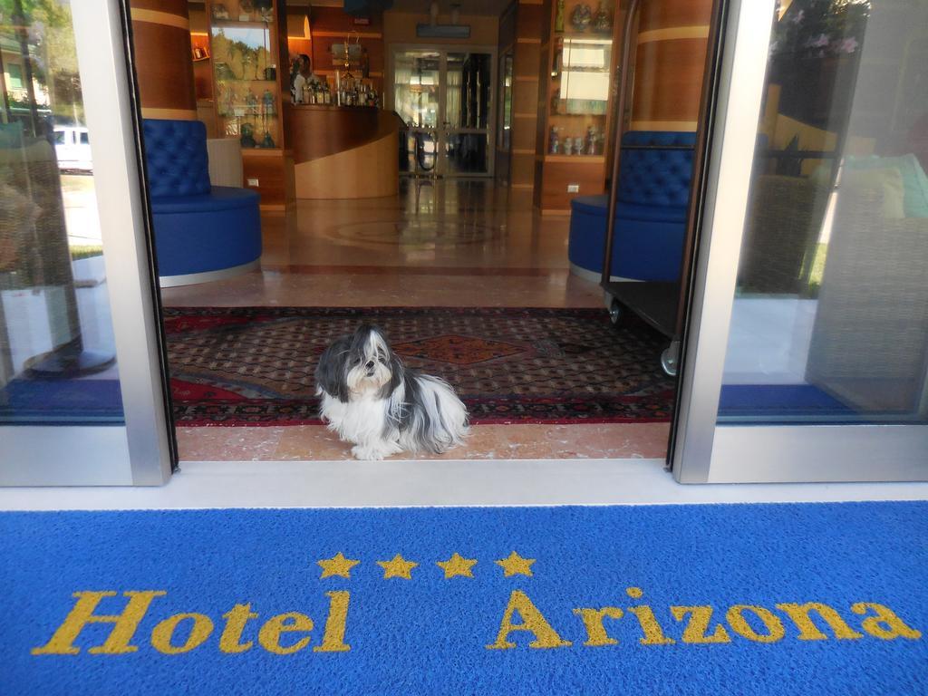 Hotel Arizona リニャーノ・サッビアドーロ エクステリア 写真